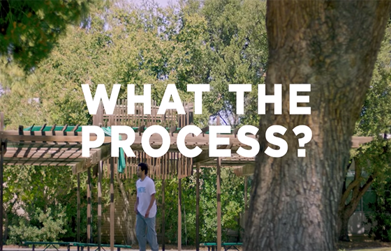 WHAT THE PROCESS