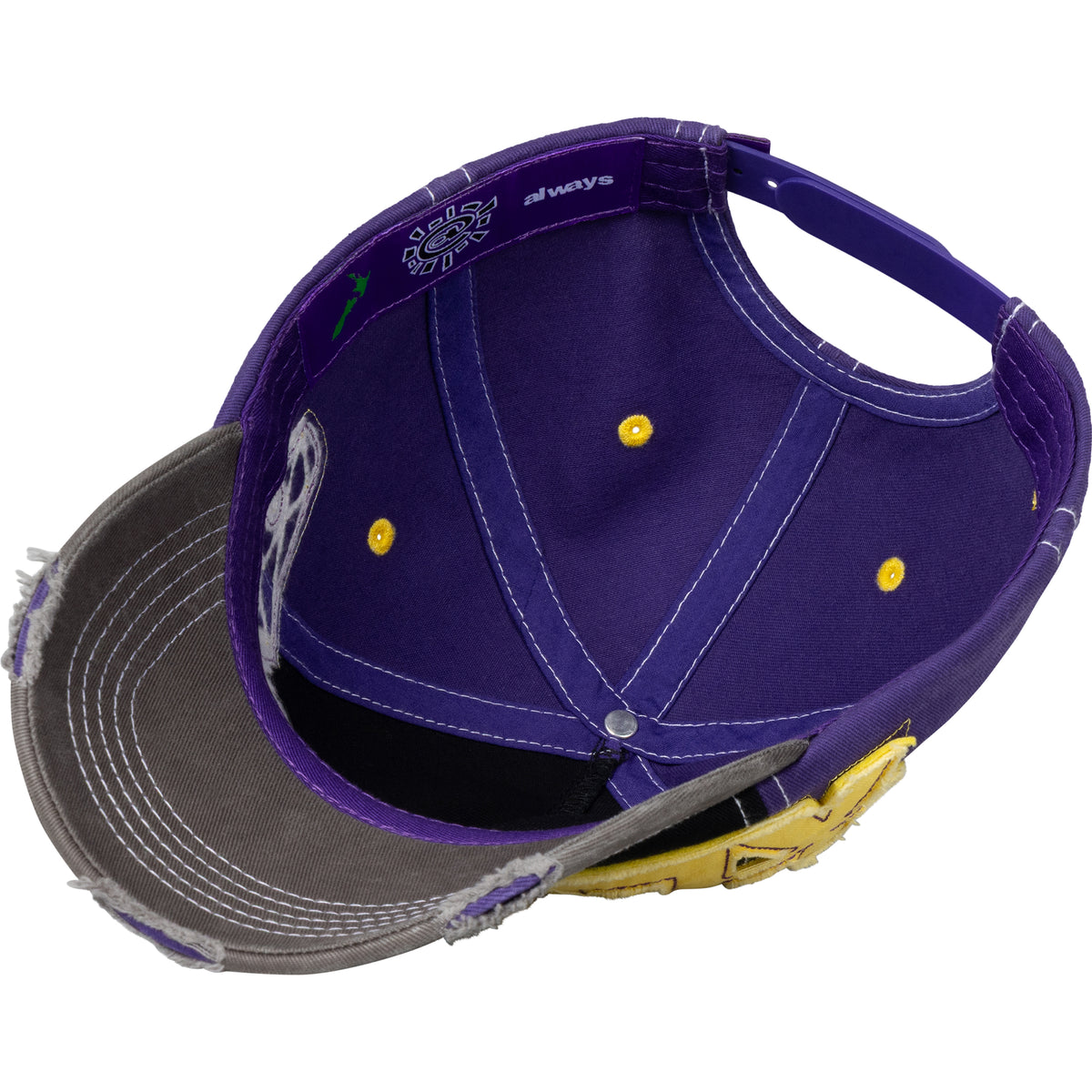 Always Do What You Should Do 5-Panel Human Logo Cap Purple/Black/Yellow