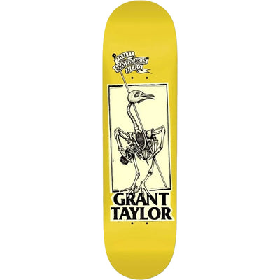 Antihero Grant Taylor Pigeon Vision Deck 8.25"