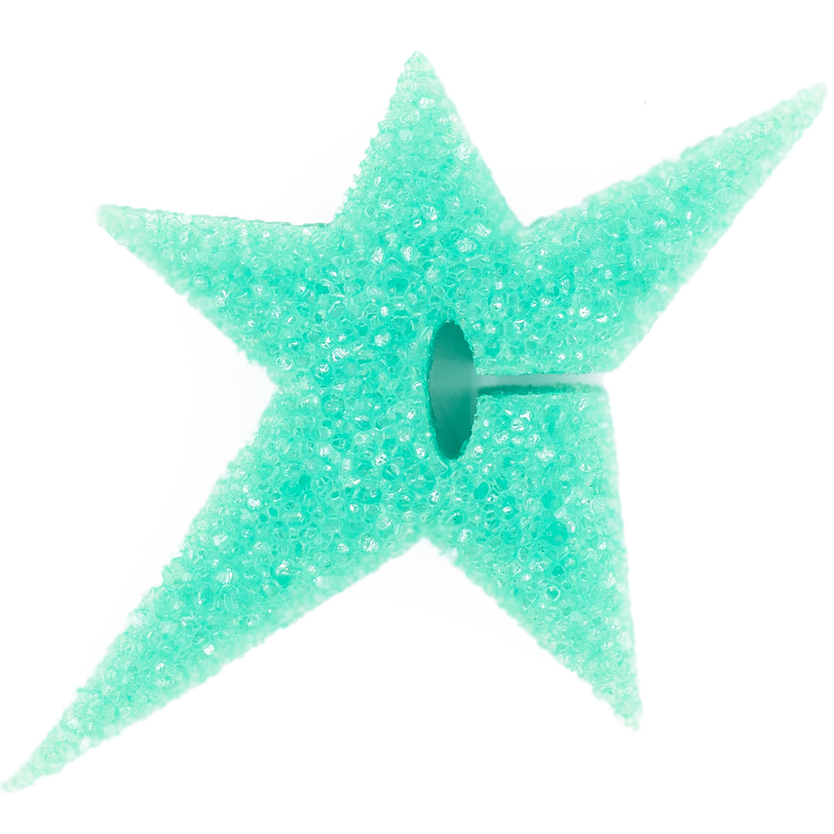 Carpet Company C-Star Sponge