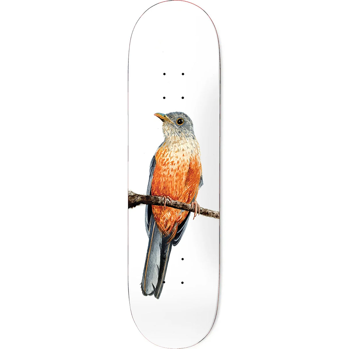 Deathwish Yuri Facchini Sabia-Laranjeira Skateboard Deck 8.125"