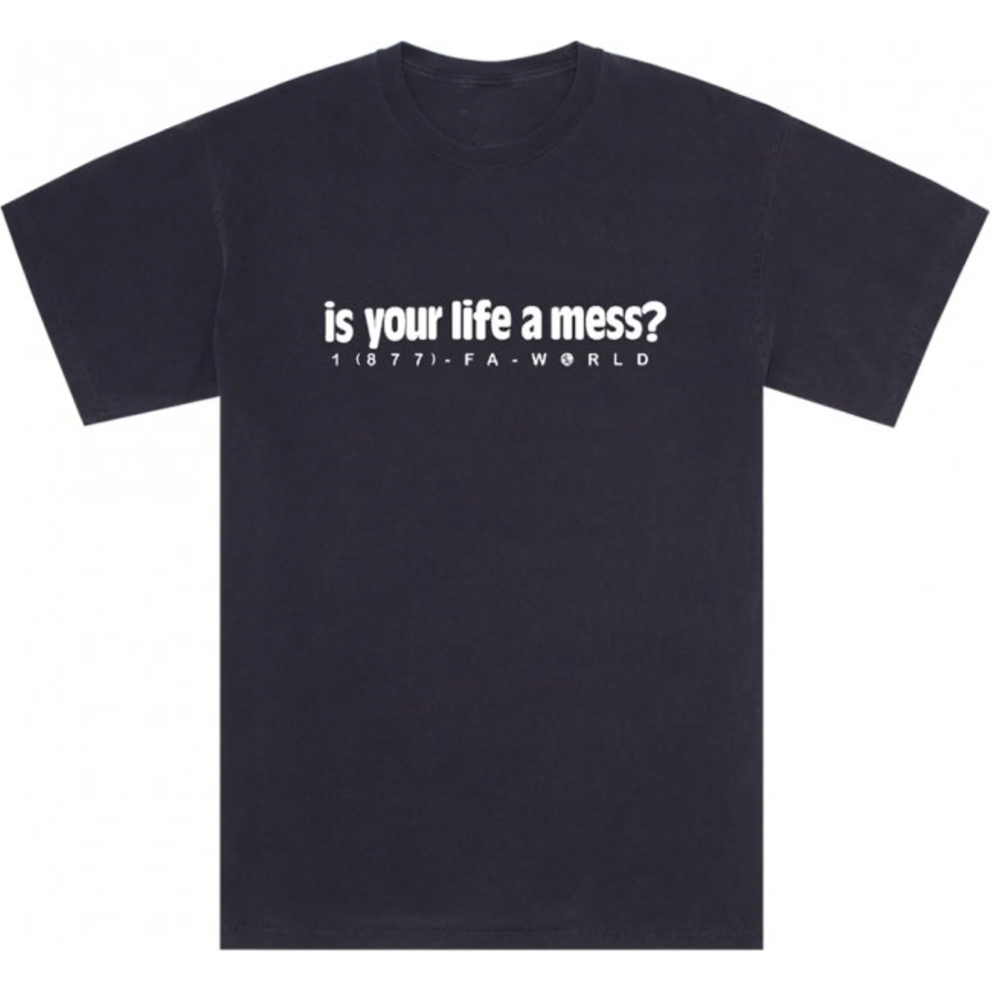 Fucking Awesome Is Your Life A Mess Short Sleeve Graphite