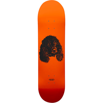 Garden Laurel Deck 8.125"