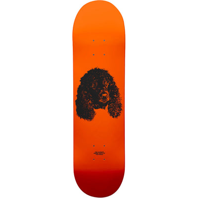 Garden Laurel Deck 8.375"