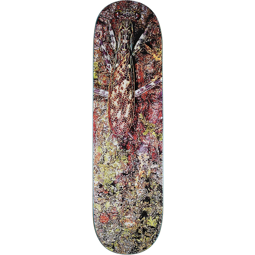 Glue Cryptic Coloration Deck 8.625"