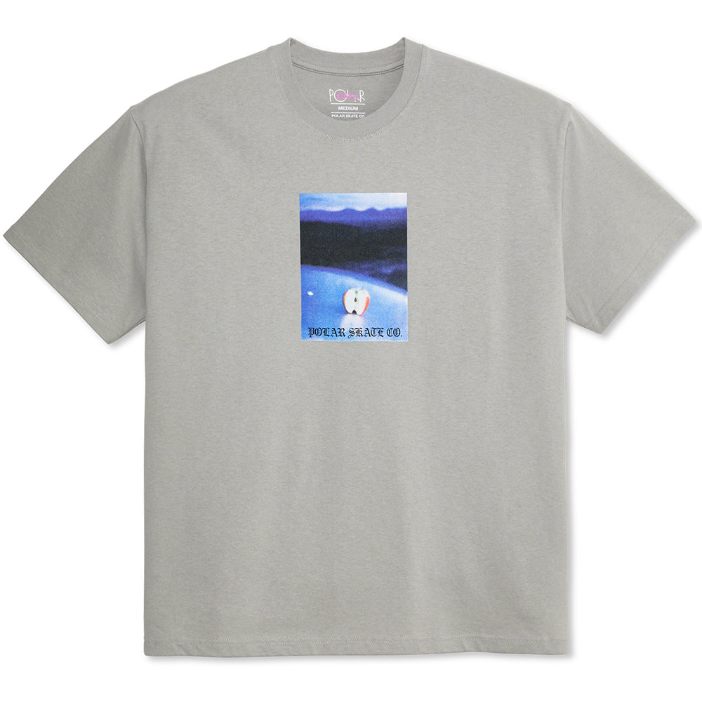 Polar Skate Co Core Tee Silver