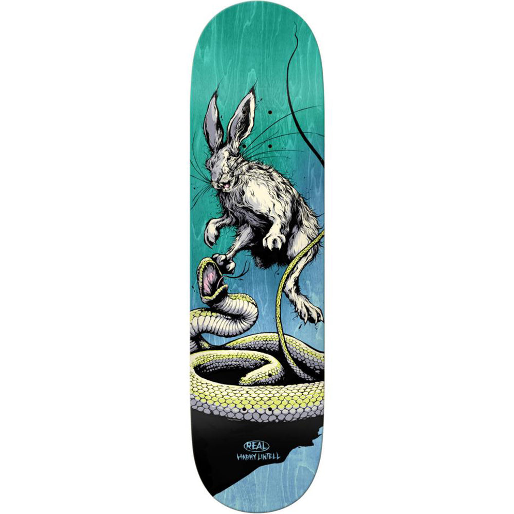 Real Harry Lintell Prey Skateboard Deck 8.4"