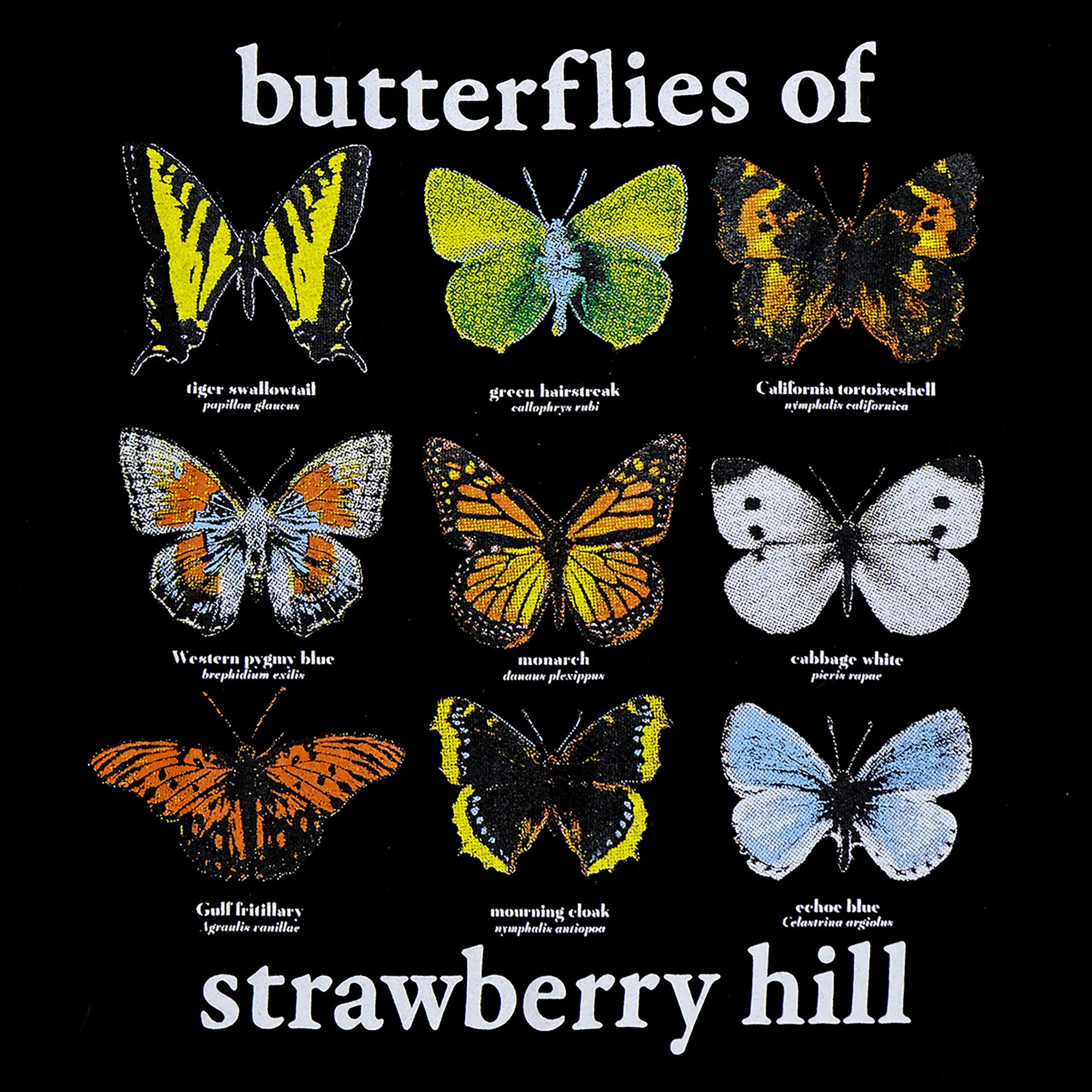 Strawberry Hill Philosophy Club Butterflies Of Strawberry Hill Tee Black
