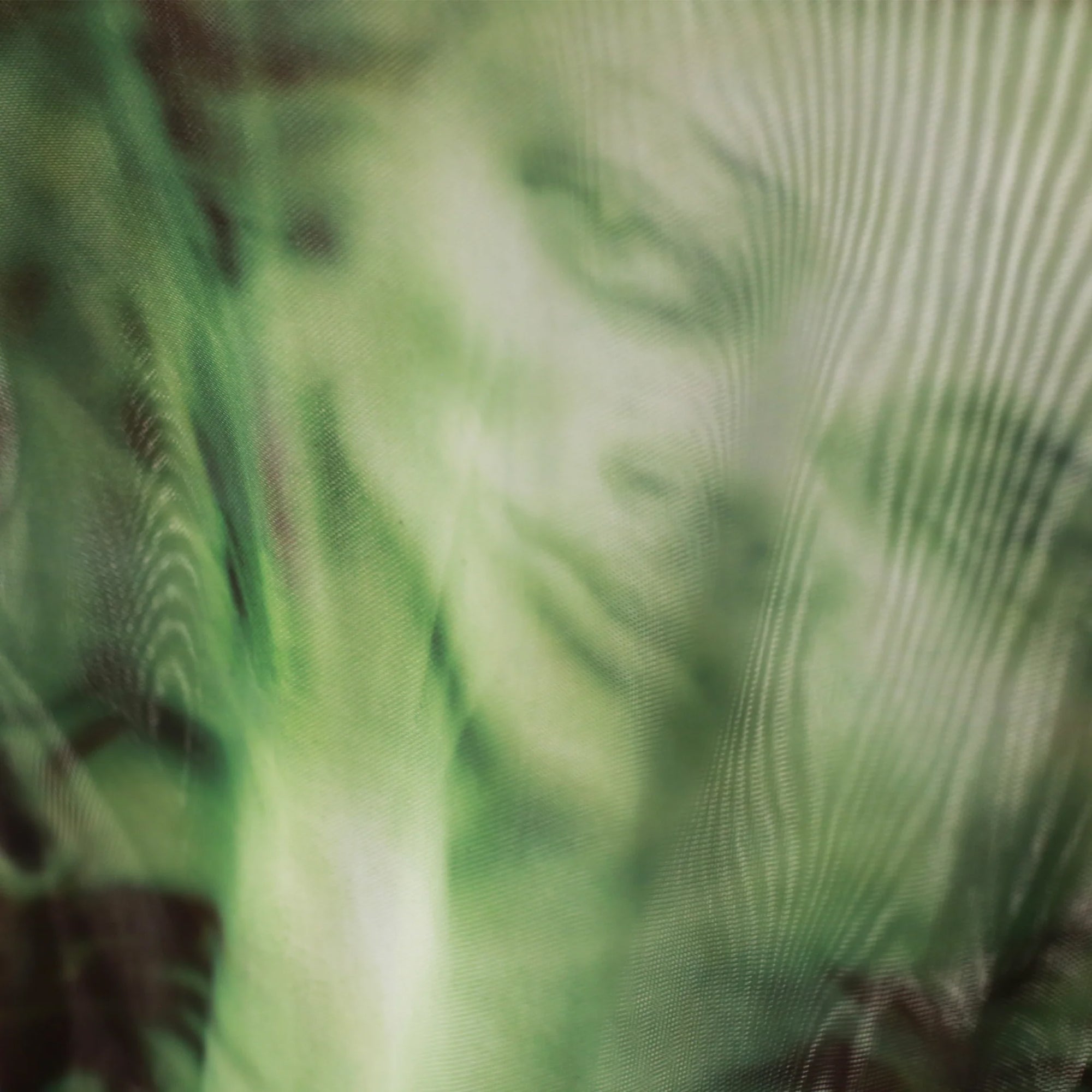 Yardsale Butterfly Mesh Black