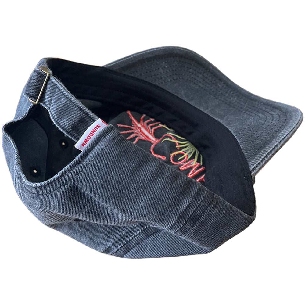 Come Sundown Entomology Cap Washed Black