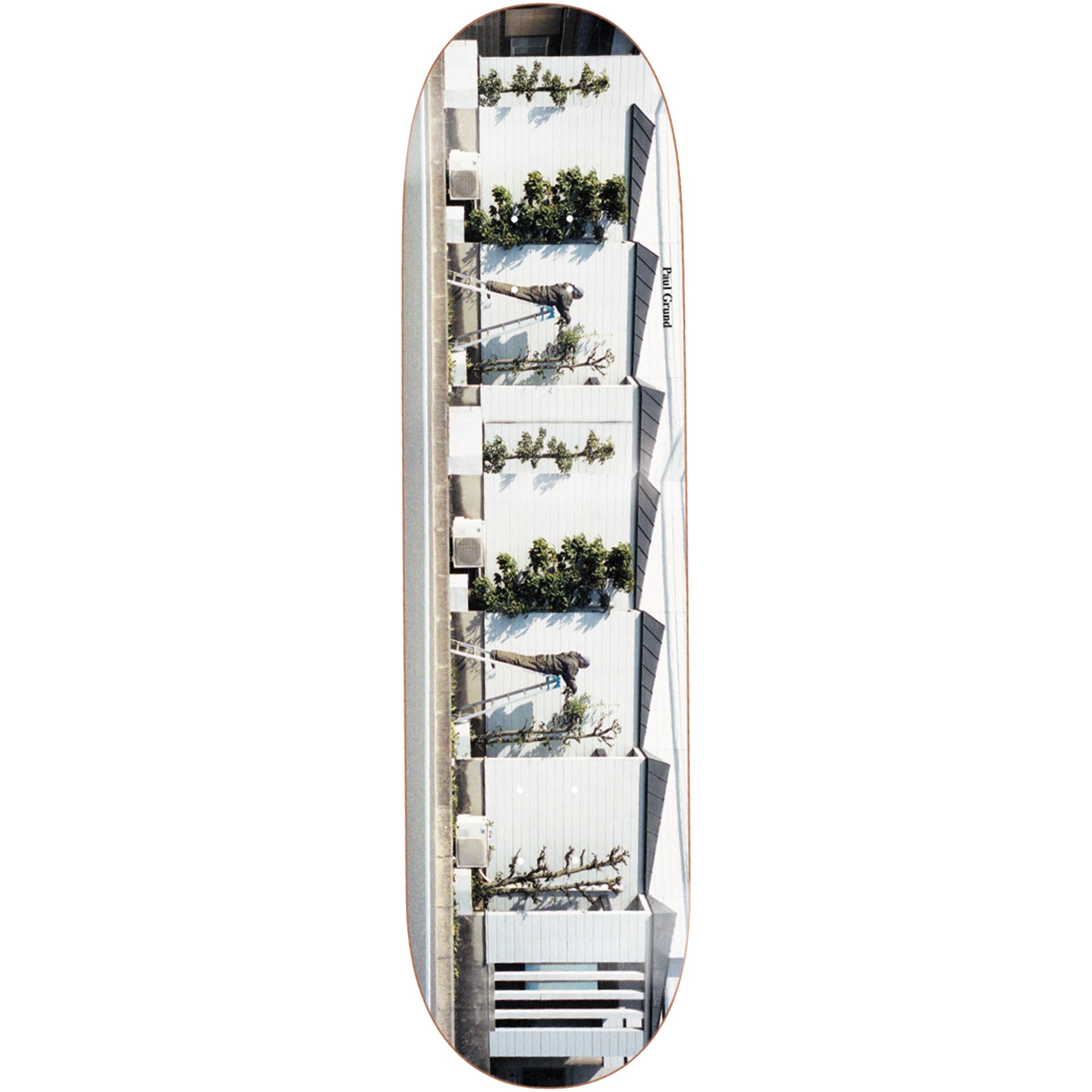 Polar Skate Co Paul Grund Gardner Skateboard Deck 8.5"