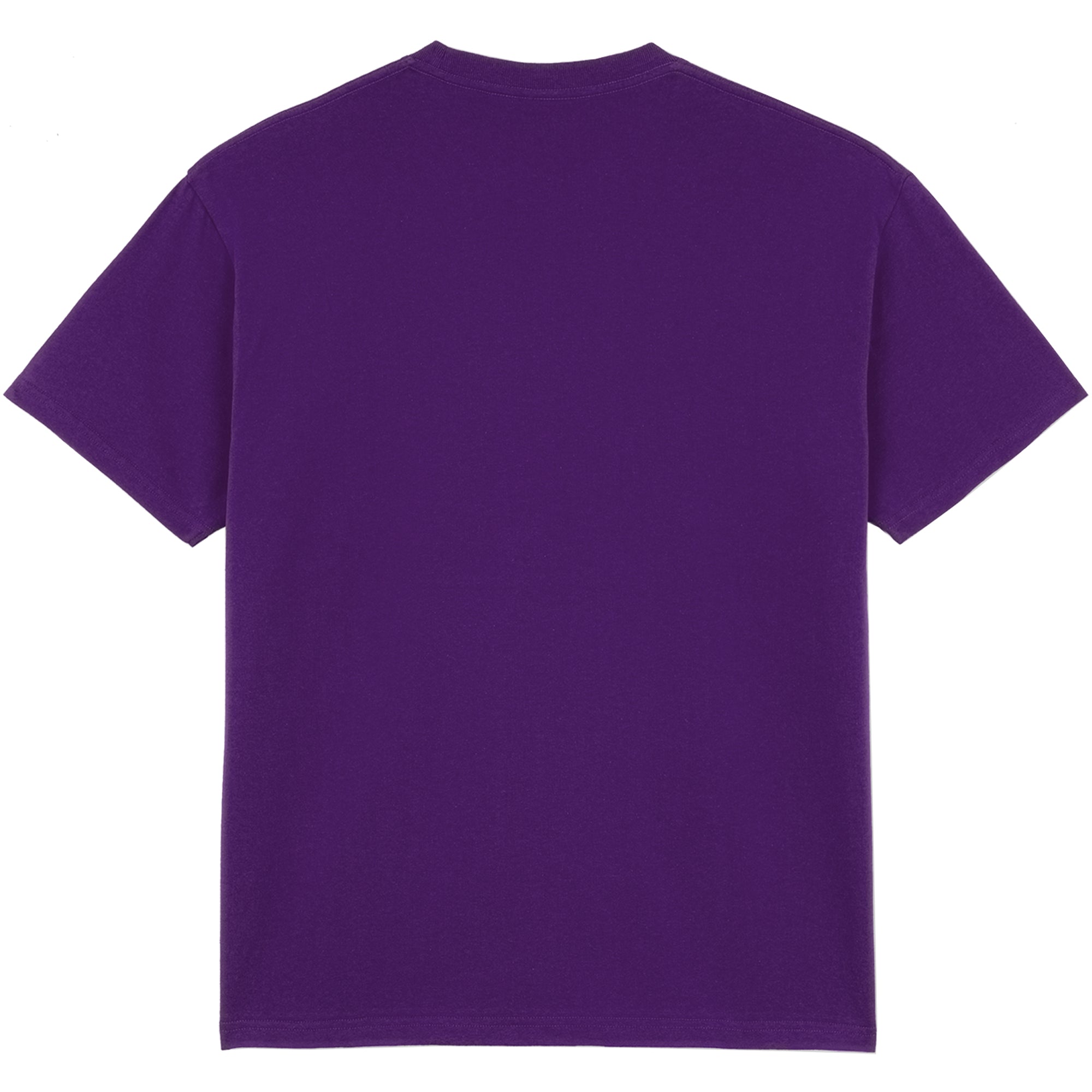 Polar Skate Co Buddies Tee Purple