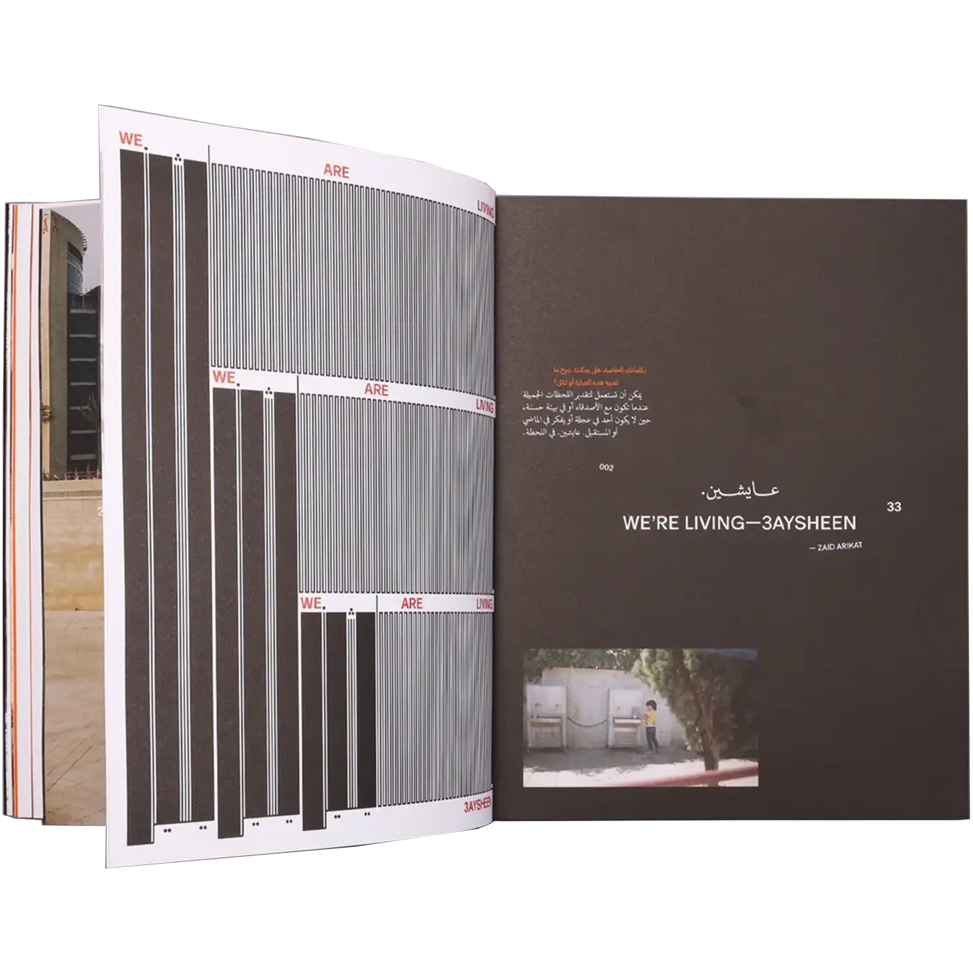 SkatePal Haraka Baraka Book