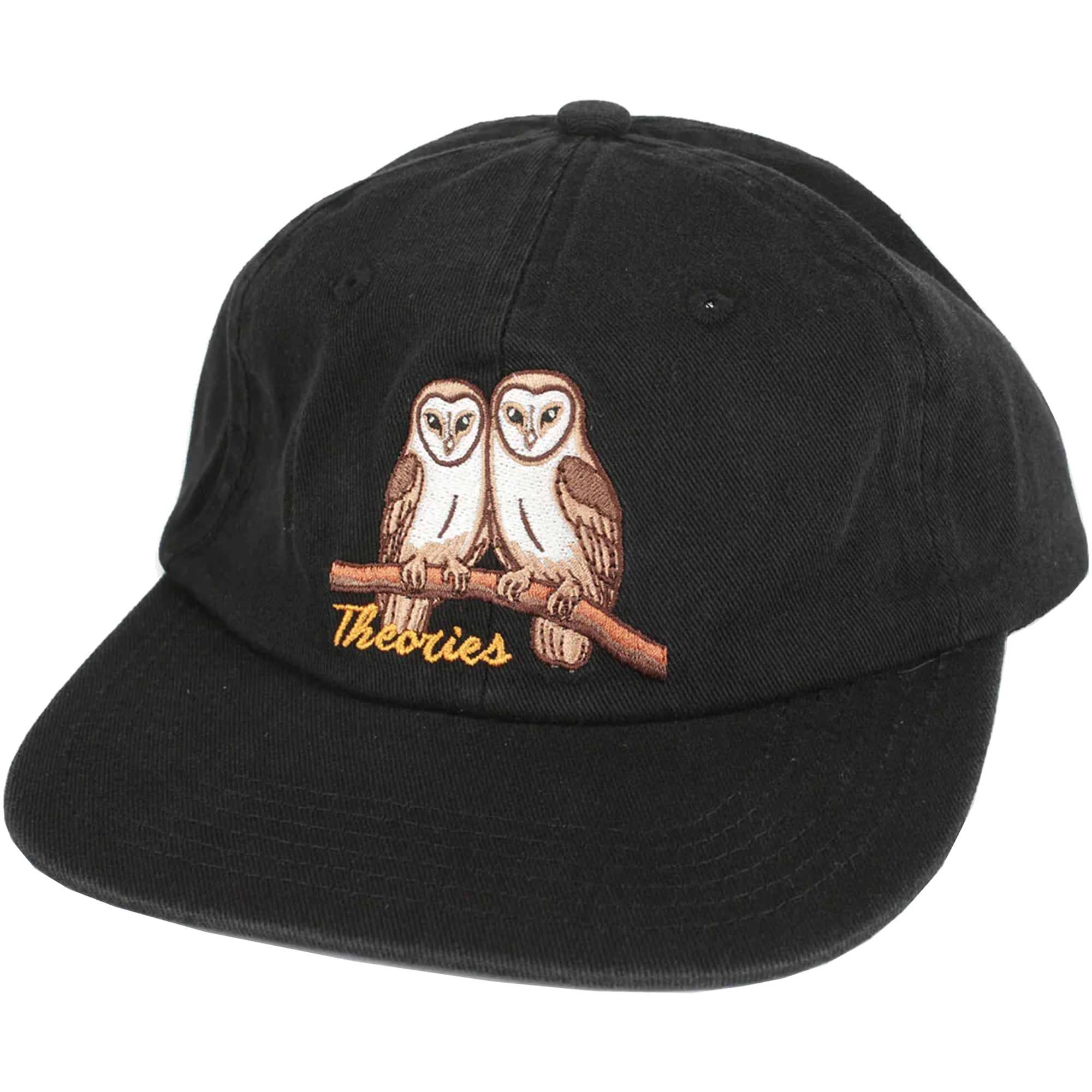 Theories Not What They Seem Strapback Hat Black