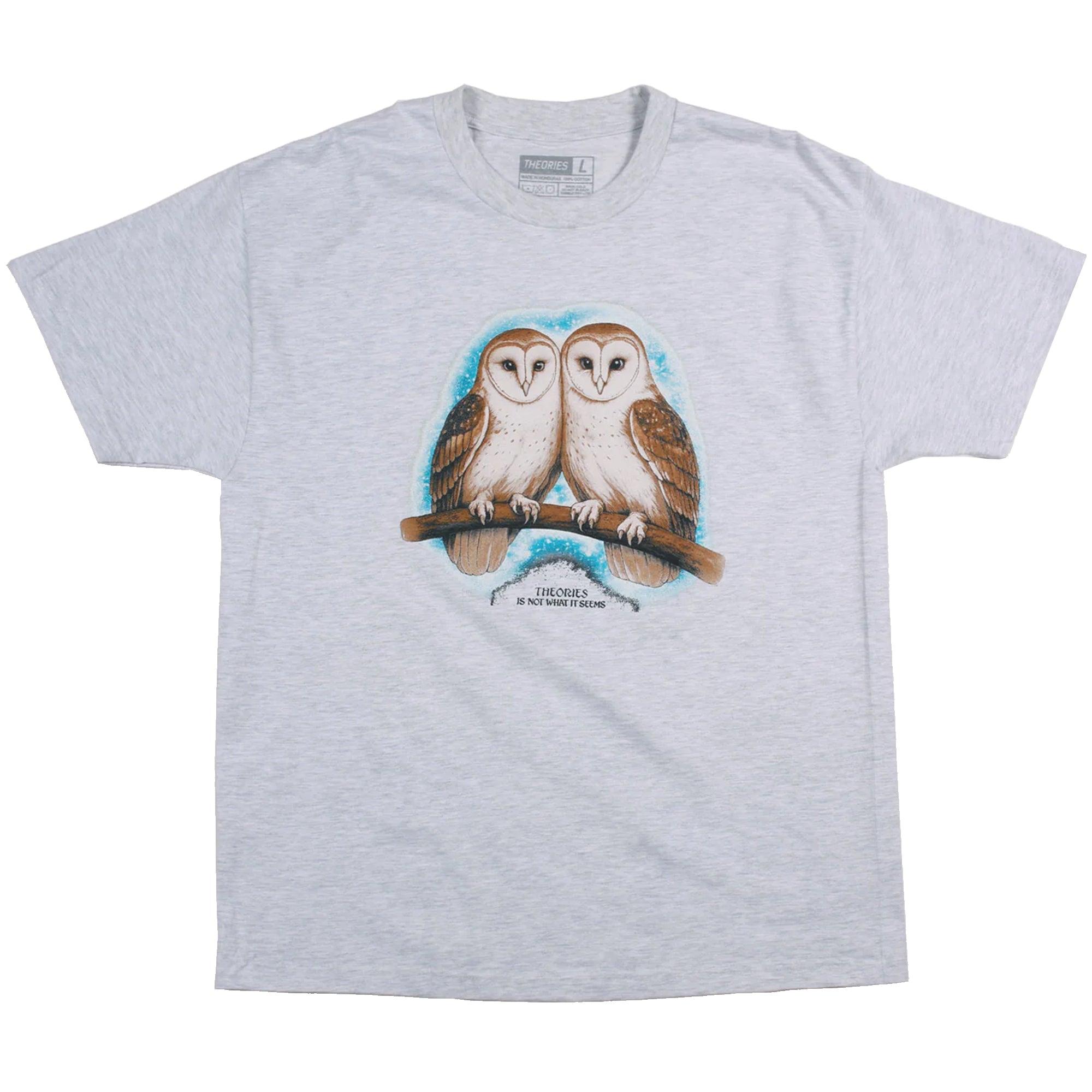 Theories Not What They Seem Tee Ash