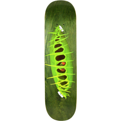 Glue Stephen Ostrowski Fly Trap Deck 8"
