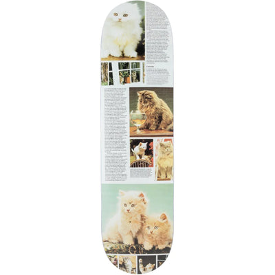 Studio Cat Book Curiosity Deck 8.5"