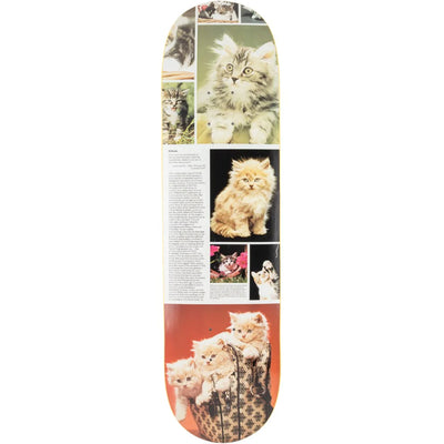 Studio Cat Book Kittens Deck 8.25"